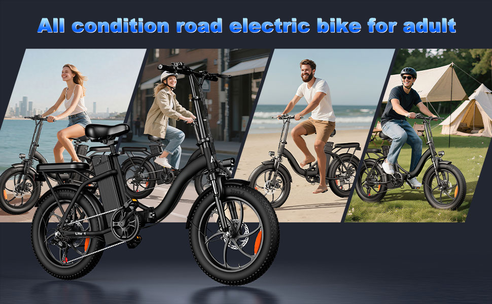 HiyViy Lite 1 Folding E-Bike all road