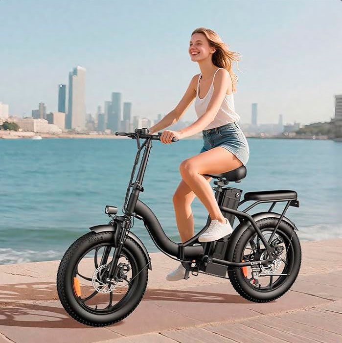 HiyViy Electric Bike Guide